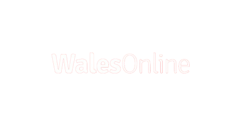 WalesOnline
